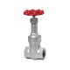 [D10SGS 1/2"] Japan high quality rising stem globe check ductile iron gate valve