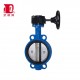 Dual plate duckbill back wafer type spring loaded butterfly check valve